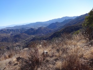 From the top of the trail.